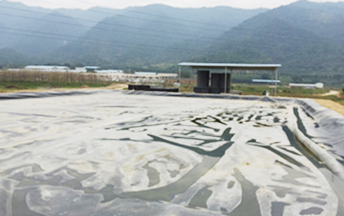 養(yǎng)殖污水降氨氮方案