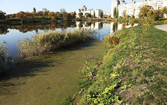 污泥調(diào)理劑 污泥調(diào)理劑