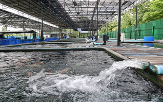養(yǎng)殖污水處理 養(yǎng)殖污水處理