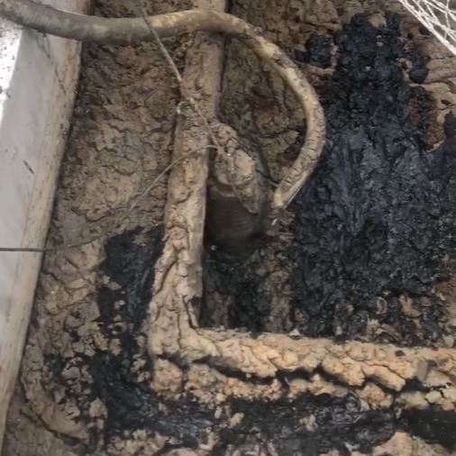 養(yǎng)殖污泥的處置辦法